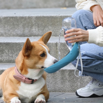 Portable Dog Water Bottle and Feeder for Walks