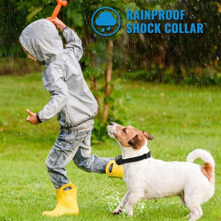 Waterproof Remote Control Dog Training Device