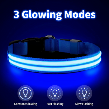 LED Waterproof Night Pet Collar with Lighting