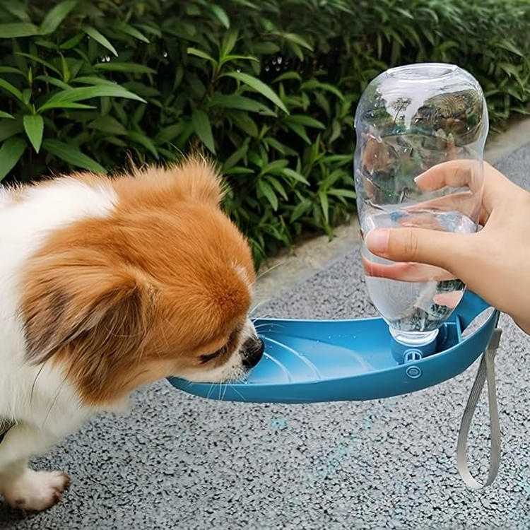 Portable Dog Water Bottle and Feeder for Walks
