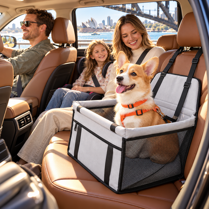 Happy corgi on a Sydney road trip in a dog car booster seat