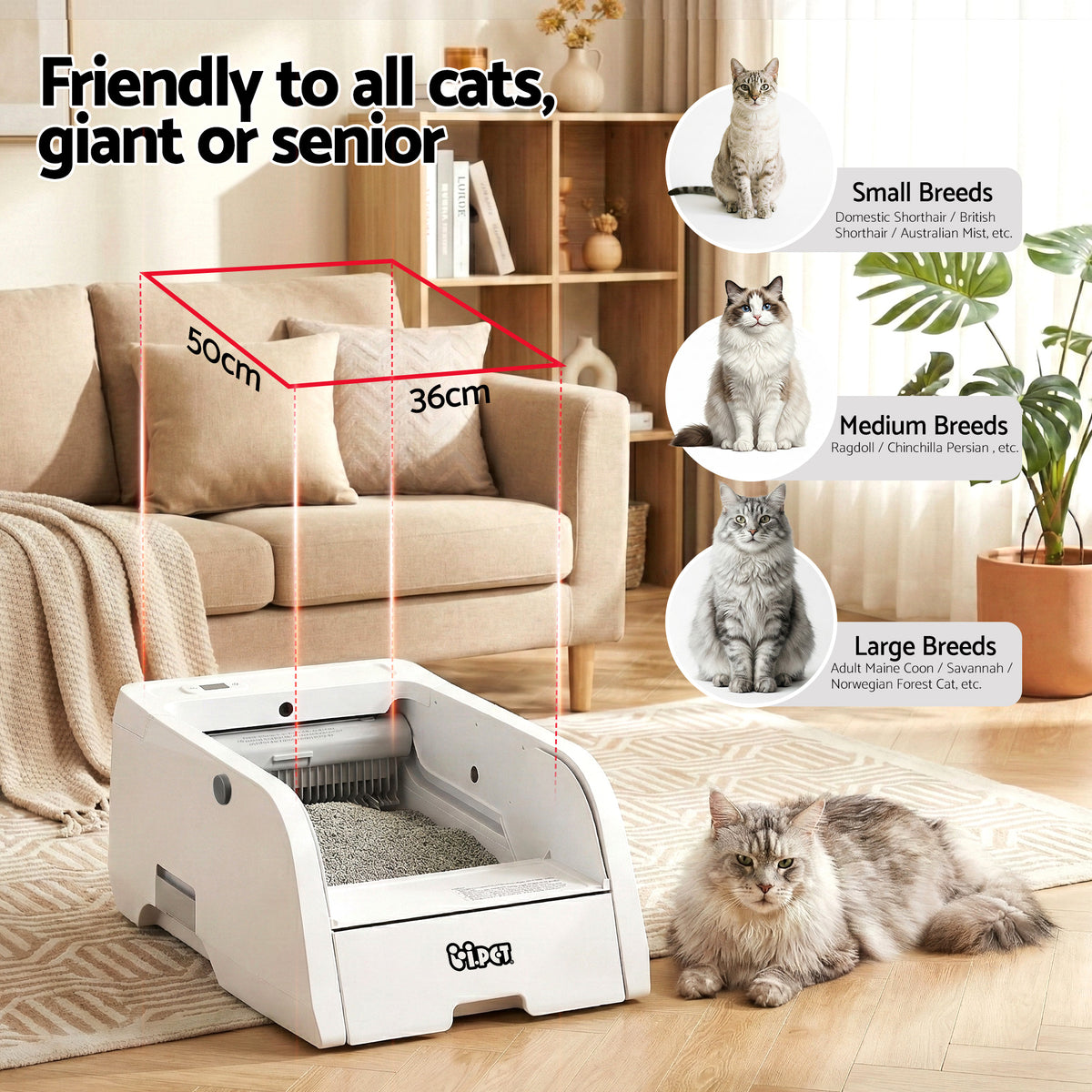 Friendly to all cats – 50 x 36 cm litter area suits small, medium and large breeds