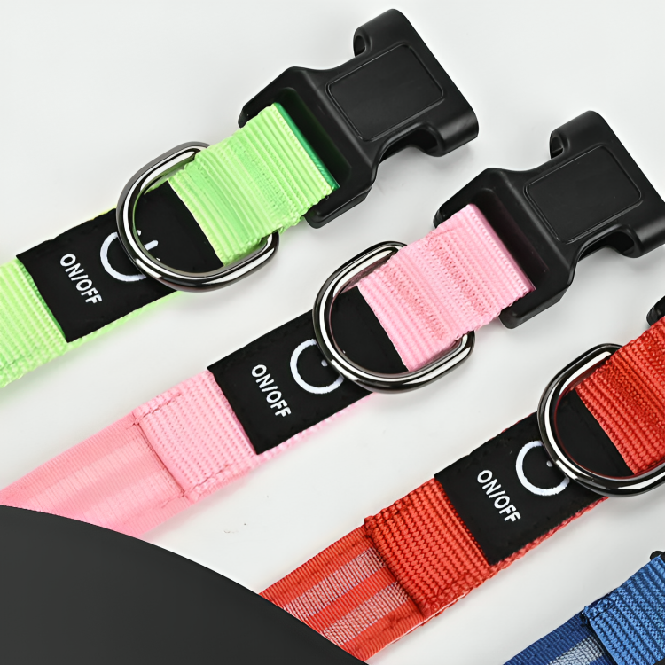 LED Waterproof Night Pet Collar with Lighting