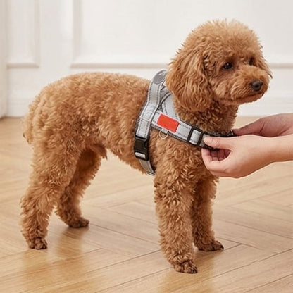 No-Pull Dog Harness chest strap - buckle adjustment