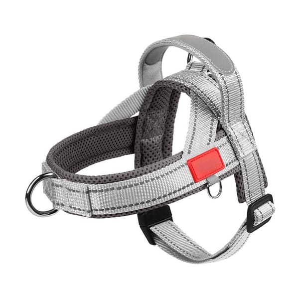 No-Pull Dog Harness chest strap - lifestyle outdoor