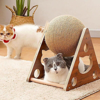 Two cats playing – one peeking through the triangle stand