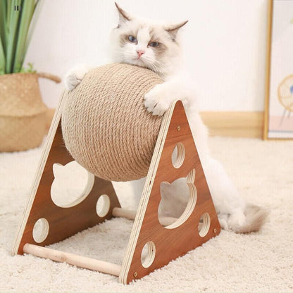 Cream cat with paws on the scratching ball