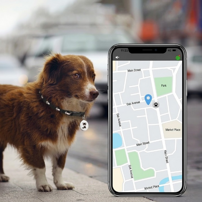 Pet GPS Tracker